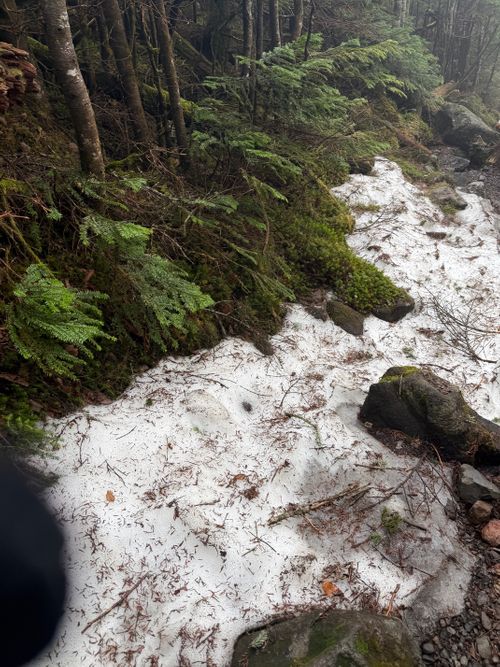 北八ヶ岳火山湖めぐり 双子池キャンプ場 ソロキャンプ フリーサイト シルバーズさんのキャンプブログ CAMPiii（キャンピー） -キャンプ専用SNS キャンプのすべてがここに集まる-