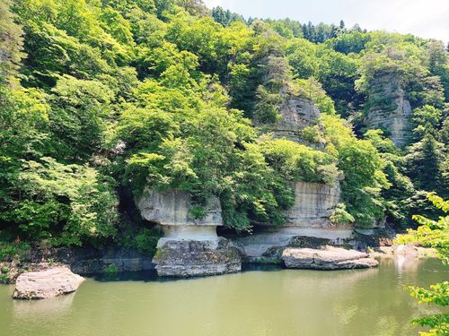 もう雪景色はおなかいっぱい&hellip;なので、現実逃避【備忘録】 エンゼルフォレスト那須白河｜ペットと泊まれる宿 Oniyomeさんのキャンプブログ CAMPiii（キャンピー） -キャンプ専用SNS キャンプのすべてがここに集まる-