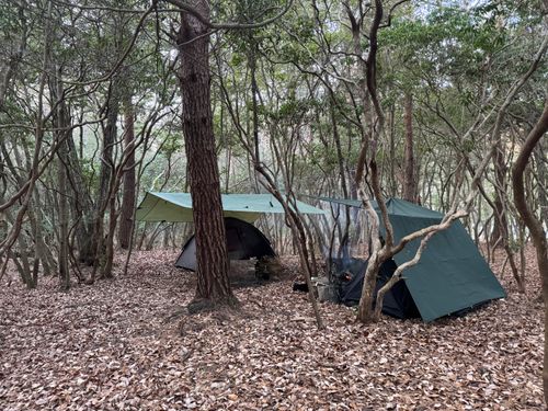 晴天のち雨、時々雪❄️ PICA富士西湖 ソロキャンプ グループキャンプ フリーサイト まっつんさんのキャンプブログ CAMPiii（キャンピー） -キャンプ専用SNS キャンプのすべてがここに集まる-