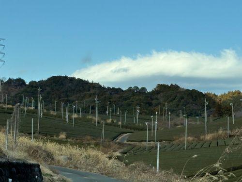 オプチャ女子グルキャンプ🏕下道倶楽部6時間越え。静岡ってでっかいなぁ！ 火剣山キャンプ場 グループキャンプ 区画サイト ぷりんさんのキャンプブログ CAMPiii（キャンピー） -キャンプ専用SNS キャンプのすべてがここに集まる-