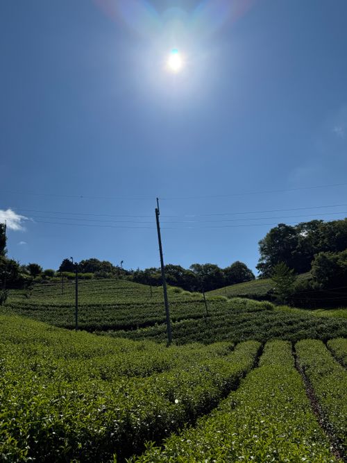 史上初、、、、 アウトドアベース京都 OUTDOOR BASE KYOTO ソロキャンプ フリーサイト まーくんさんのキャンプブログ CAMPiii(キャンピー) -キャンプ専用SNS キャンプのすべてがここに集まる-