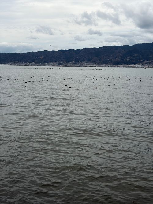 老人2人とピクニック 湖岸緑地 志那1 ファミリーキャンプ フリーサイト 美味しいご飯が食べたい！！さんのキャンプブログ CAMPiii（キャンピー） -キャンプ専用SNS キャンプのすべてがここに集まる-