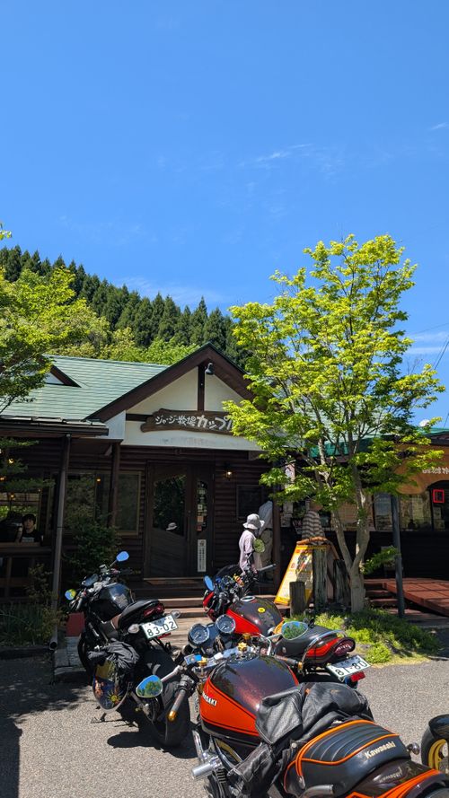 Sさんファミリーとこどもの日キャンプ🎏 （一財）学びやの里／木魂館キャンプ場 ファミリーキャンプ グループキャンプ フリーサイト ヒゲキャンさんのキャンプブログ CAMPiii（キャンピー） -キャンプ専用SNS キャンプのすべてがここに集まる-