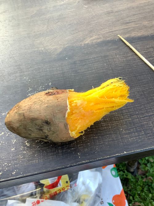 Vol.108 25/NO.27　いつもの場所にて‼️ 坂戸市 ソロキャンプ フリーサイト 🔥焚き火🔥さんのキャンプブログ CAMPiii（キャンピー） -キャンプ専用SNS キャンプのすべてがここに集まる-