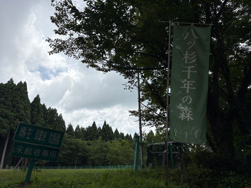 キャンプ場でインド人になりました。 八ッ杉千年の森キャンプ場 グループキャンプ オートサイト しゆんさんさんのキャンプブログ CAMPiii（キャンピー） -キャンプ専用SNS キャンプのすべてがここに集まる-