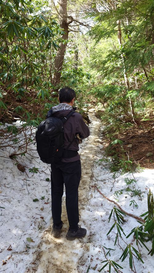 雲海を泳ぐクジラ山♪ 内山牧場 ソロキャンプ グループキャンプ フリーサイト まーささんのキャンプブログ CAMPiii（キャンピー） -キャンプ専用SNS キャンプのすべてがここに集まる-