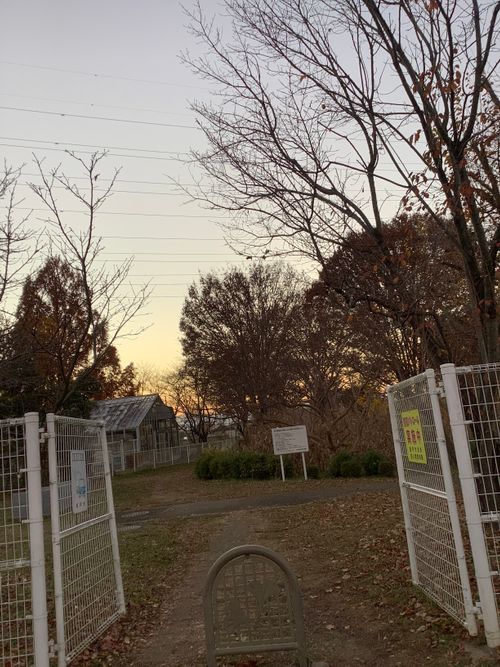 Vol.108 25/NO.27　いつもの場所にて‼️ 坂戸市 ソロキャンプ フリーサイト 🔥焚き火🔥さんのキャンプブログ CAMPiii（キャンピー） -キャンプ専用SNS キャンプのすべてがここに集まる-