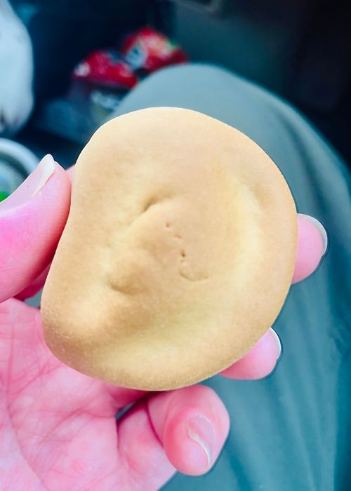 念願の雪中⛄️おじおばうさキャン△ in 板木まきばの里キャンプ場 〜 CAMP NO.173 小板まきばの里キャンプ場 ファミリーキャンプ グループキャンプ 区画サイト おじキャン△さんのキャンプブログ CAMPiii（キャンピー） -キャンプ専用SNS キャンプのすべてがここに集まる-