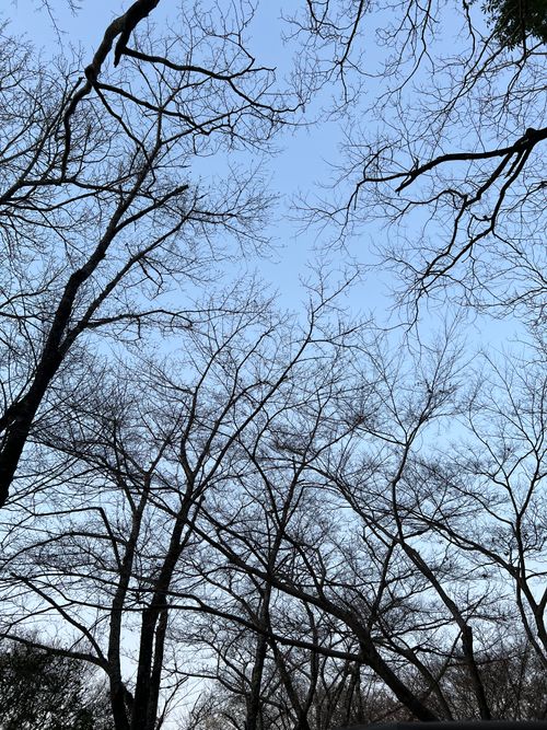 2026年　ここからスタート パークフィールド スノーピーク豊田鞍ヶ池 ファミリーキャンプ 区画サイト 庭キャン+さんのキャンプブログ CAMPiii（キャンピー） -キャンプ専用SNS キャンプのすべてがここに集まる-