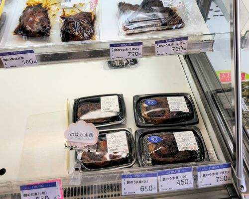 俺のあそびฅ(o&lsquo;ⓛ&rsquo;o)ฅ   なめキャン⛺ 天王崎公園 ソロキャンプ フリーサイト くまくまさんのキャンプブログ CAMPiii（キャンピー） -キャンプ専用SNS キャンプのすべてがここに集まる-