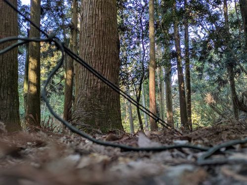 今年初のお泊まりキャンプ 亀岡市 ソロキャンプ フリーサイト ぞのさんさんのキャンプブログ CAMPiii（キャンピー） -キャンプ専用SNS キャンプのすべてがここに集まる-