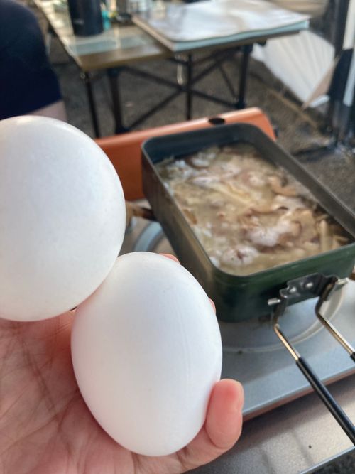 ありがとう豆太郎🚙 前編 Alpen Outdoors しろとりフィールド ファミリーキャンプ オートサイト ぐうたら夫婦さんのキャンプブログ CAMPiii(キャンピー) -キャンプ専用SNS キャンプのすべてがここに集まる-