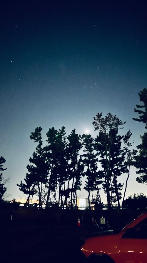 聖地 渚園 キャンプ場 ソロキャンプ 区画サイト KABUTOさんのキャンプブログ CAMPiii（キャンピー） -キャンプ専用SNS キャンプのすべてがここに集まる-