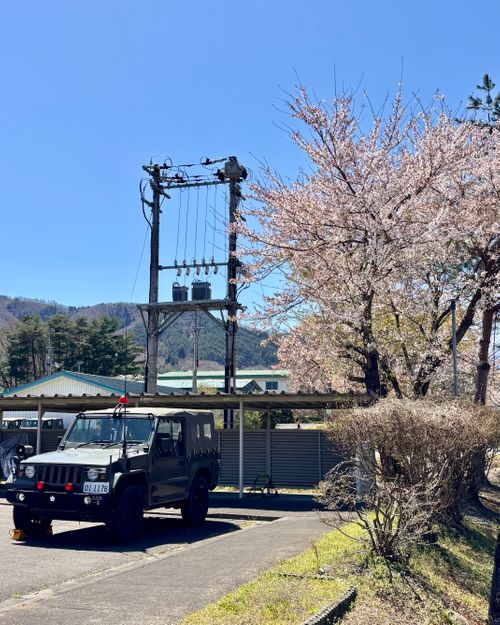 【番外編】駐屯地でお花見するっちゃ〜🌸🌸🌸 陸上自衛隊 福島駐屯地 Oniyomeさんのキャンプブログ CAMPiii（キャンピー） -キャンプ専用SNS キャンプのすべてがここに集まる-