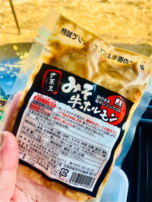 秋穂の名物《車海老を喰らう》おじうさグルキャン△ in 美濃ケ浜海浜公園キャンプ場 〜 CAMP NO.160 美濃ケ浜海浜広場 ソロキャンプ ファミリーキャンプ グループキャンプ フリーサイト おじキャン△さんのキャンプブログ CAMPiii（キャンピー） -キャンプ専用SNS キャンプのすべてがここに集まる-