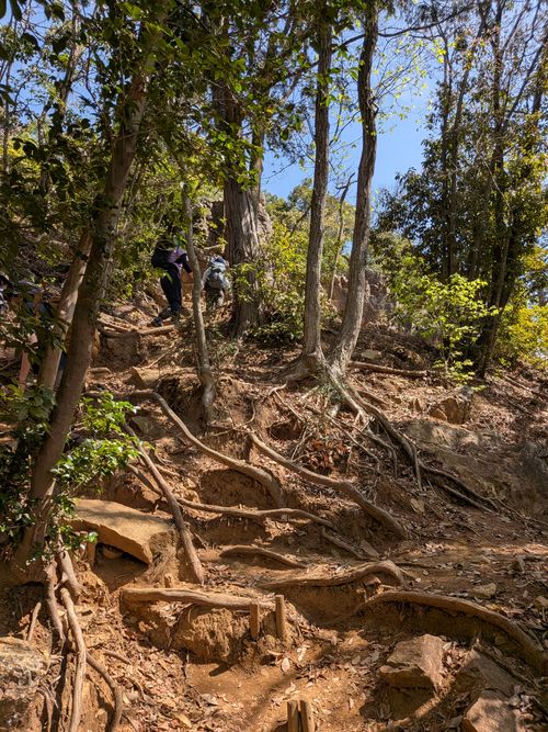 日和田山 ともえ川Park ソロキャンプ オートサイト フリーサイト IZUIZUさんのキャンプブログ CAMPiii（キャンピー） -キャンプ専用SNS キャンプのすべてがここに集まる-