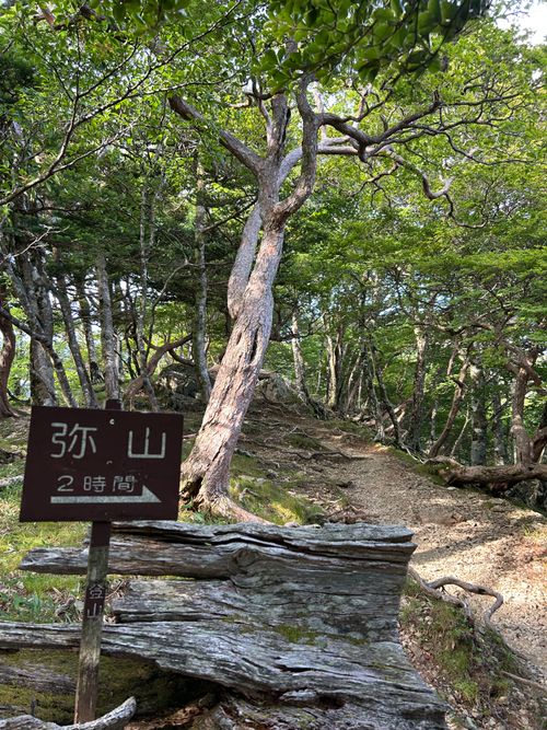 目指せ近畿最高峰の山 弥山 ソロキャンプ フリーサイト △kuuga△さんのキャンプブログ CAMPiii（キャンピー） -キャンプ専用SNS キャンプのすべてがここに集まる-