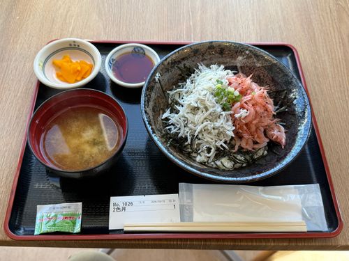 伊豆グルキャン 宇佐美城山公園キャンプ グループキャンプ 区画サイト かとかとさんのキャンプブログ CAMPiii（キャンピー） -キャンプ専用SNS キャンプのすべてがここに集まる-