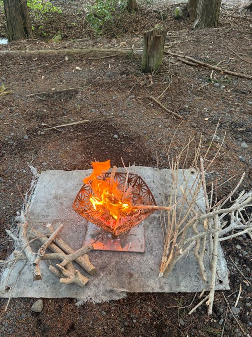 のんびりキャンプ ペンギン村 オートキャンプ場 ソロキャンプ オートサイト 区画サイト ちはみなさんのキャンプブログ CAMPiii（キャンピー） -キャンプ専用SNS キャンプのすべてがここに集まる-