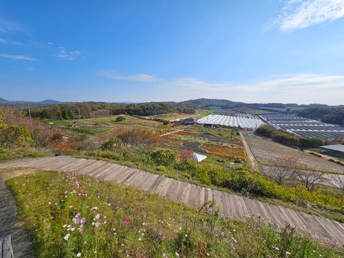 雲海キャンプ➃は雨☔ 花の駅せら オートキャンプ場 ソロキャンプ 区画サイト オートサイト 三代目とっしぃさんのキャンプブログ CAMPiii（キャンピー） -キャンプ専用SNS キャンプのすべてがここに集まる-