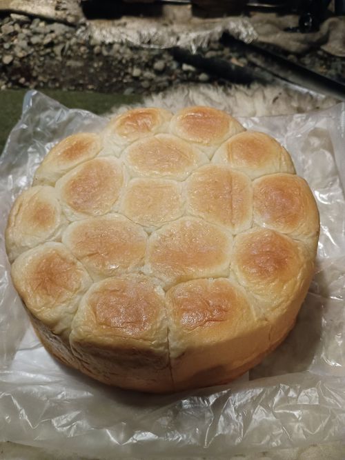 親子 de ポーランド合同演習 in小倉橋駐屯地 小倉橋下の河川敷 ファミリーキャンプ フリーサイト ウエィダーさんのキャンプブログ CAMPiii（キャンピー） -キャンプ専用SNS キャンプのすべてがここに集まる-