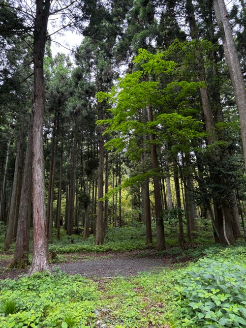 後輩夫婦おもてなしキャンプ。 デルフリキャンプ エンジョイドローン上山田キャンプ場 グループキャンプ 区画サイト あやぴーさんのキャンプブログ CAMPiii（キャンピー） -キャンプ専用SNS キャンプのすべてがここに集まる-