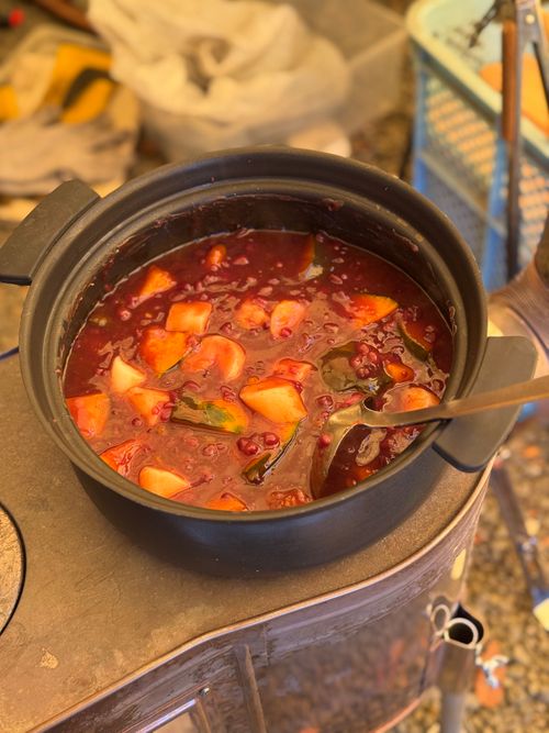 2025年の最後も年越キャンプ オートキャンプせせらぎ グループキャンプ ソロキャンプ 区画サイト xiongmaoさんのキャンプブログ CAMPiii（キャンピー） -キャンプ専用SNS キャンプのすべてがここに集まる-