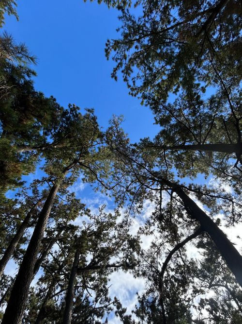 CAMPiii（キャンピー） △kuuga△さんのキャンプブログ 雨男。本当に今年最後キャンプ。 美浜町煙樹海岸キャンプ場