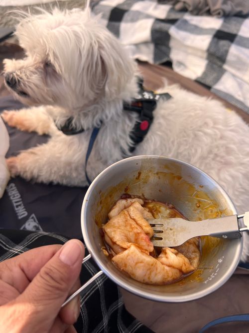 第83話  ほったらかしキャンプ場やっとこさ来れた〜 ほったらかしキャンプ場 ソロキャンプ 区画サイト ちろ犬さんのキャンプブログ CAMPiii(キャンピー) -キャンプ専用SNS キャンプのすべてがここに集まる-