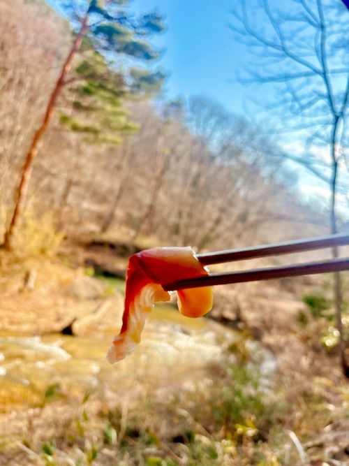 自然と一体！サウナと小川で「ととのう」贅沢時間 OUSE Camp＆Sauna TUULI（トゥーリ） Oniyomeさんのキャンプブログ CAMPiii（キャンピー） -キャンプ専用SNS キャンプのすべてがここに集まる-