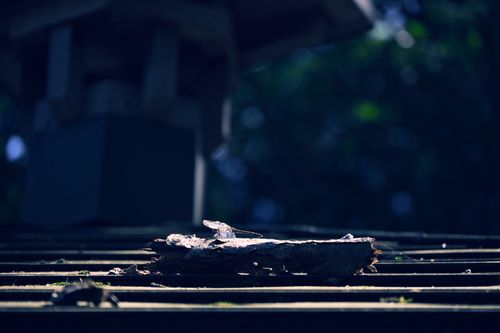 リハビリ 磐梯山 ソロキャンプ フリーサイト エジプさんさんのキャンプブログ CAMPiii（キャンピー） -キャンプ専用SNS キャンプのすべてがここに集まる-