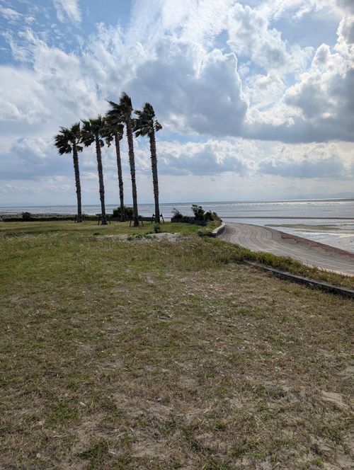 急に納車が決まり急遽の旅 RVパーク BEACH FRONT SAKAI ファミリーキャンプ 区画サイト yosihikozc4さんのキャンプブログ CAMPiii（キャンピー） -キャンプ専用SNS キャンプのすべてがここに集まる-