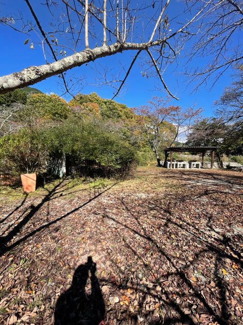 同僚と道志村で2泊3日のふたりキャンプ！ 道志村観光農園オートキャンプ場 ソロキャンプ グループキャンプ フリーサイト ma9さんのキャンプブログ CAMPiii（キャンピー） -キャンプ専用SNS キャンプのすべてがここに集まる-