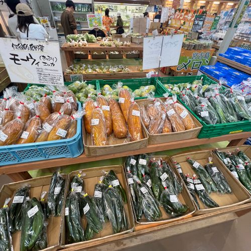 宮古島で一瞬デイキャン Y'sガーデン狩俣キャンプ場 ファミリーキャンプ フリーサイト ド・スタールさんのキャンプブログ CAMPiii（キャンピー） -キャンプ専用SNS キャンプのすべてがここに集まる-