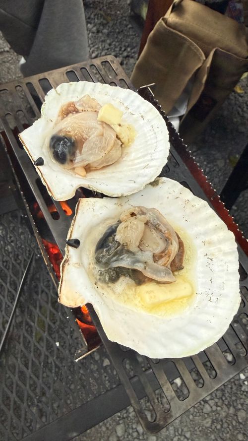 テントの日は静かなキャンプ😊 せせらぎ温泉 キャンプ村 ファミリーキャンプ 区画サイト moreAiさんのキャンプブログ CAMPiii（キャンピー） -キャンプ専用SNS キャンプのすべてがここに集まる-