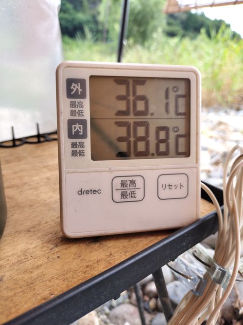 花火キャン 美濃橋 ソロキャンプ グループキャンプ フリーサイト オートサイト たかぽんたさんのキャンプブログ CAMPiii（キャンピー） -キャンプ専用SNS キャンプのすべてがここに集まる-