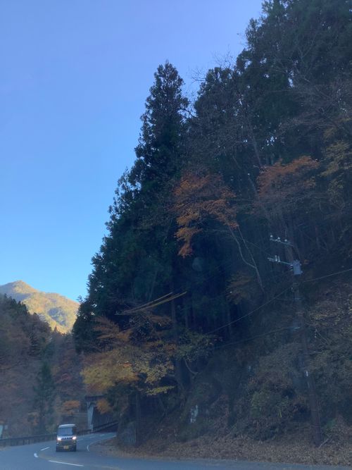 Vol.107 25/NO.26　何となく中津峡に行く‼️ 中津峡 ソロキャンプ 🔥焚き火🔥さんのキャンプブログ CAMPiii（キャンピー） -キャンプ専用SNS キャンプのすべてがここに集まる-