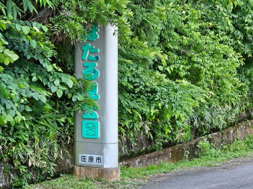 1年越しのホタルキャンプ ソロキャンプ 区画サイト 三代目とっしぃさんのキャンプブログ CAMPiii（キャンピー） -キャンプ専用SNS キャンプのすべてがここに集まる-