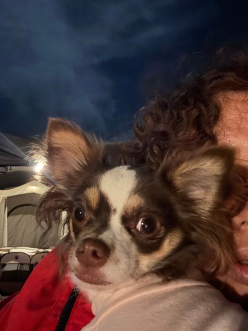 #37 ナットパーク ファミリーキャンプ 区画サイト Mina Campさんのキャンプブログ CAMPiii（キャンピー） -キャンプ専用SNS キャンプのすべてがここに集まる-