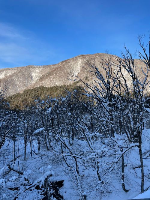粉雪が満月にキラキラ光る露天風呂で缶ビールをプシュッ！今年のキャンプスタート！ とことん山キャンプ場 ファミリーキャンプ フリーサイト ロコCamp0828さんのキャンプブログ CAMPiii（キャンピー） -キャンプ専用SNS キャンプのすべてがここに集まる-