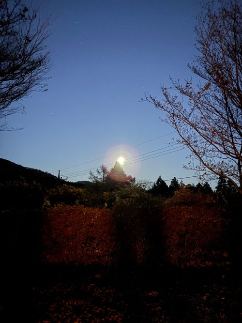 つくば山キャンプ！ 石岡市つくばねオートキャンプ場 ファミリーキャンプ オートサイト ぺちゃさんのキャンプブログ CAMPiii（キャンピー） -キャンプ専用SNS キャンプのすべてがここに集まる-