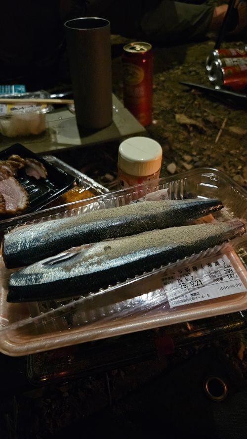 その後 日本 ソロキャンプ グループキャンプ 区画サイト フリーサイト オートサイト IZUIZUさんのキャンプブログ CAMPiii（キャンピー） -キャンプ専用SNS キャンプのすべてがここに集まる-