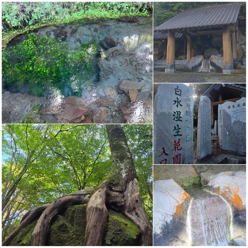 秋満喫ベスト4🍁🍂キャンプと登山とChatGPT 坊ガツル グループキャンプ フリーサイト NATSUさんのキャンプブログ CAMPiii（キャンピー） -キャンプ専用SNS キャンプのすべてがここに集まる-
