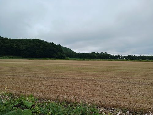 【Day7】北海道C△mp旅’ in 十勝・帯広(2日目) スノーピーク十勝ポロシリキャンプフィールド ファミリーキャンプ オートサイト キャンピングカー vios outdoor'sさんのキャンプブログ CAMPiii(キャンピー) -キャンプ専用SNS キャンプのすべてがここに集まる-