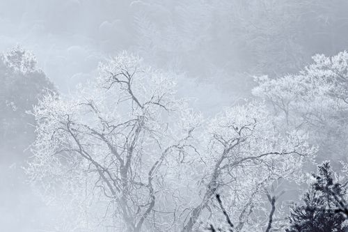 CAMPiii（キャンピー） ENJOY THE OUTDOORSさんのキャンプブログ 全国旅キャンプ第13弾は三重編 