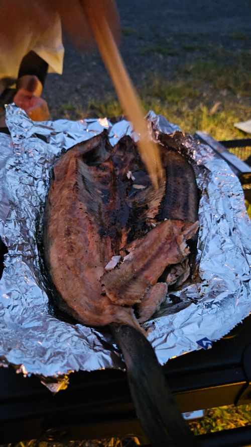 その後 日本 ソロキャンプ グループキャンプ 区画サイト フリーサイト オートサイト IZUIZUさんのキャンプブログ CAMPiii（キャンピー） -キャンプ専用SNS キャンプのすべてがここに集まる-