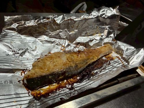 新年雪中デビュー⛄️❄️🌨🏔️@後編 閑乗寺公園 第2キャンプ場 ファミリーキャンプ 区画サイト オートサイト ぐうたら夫婦さんのキャンプブログ CAMPiii（キャンピー） -キャンプ専用SNS キャンプのすべてがここに集まる-