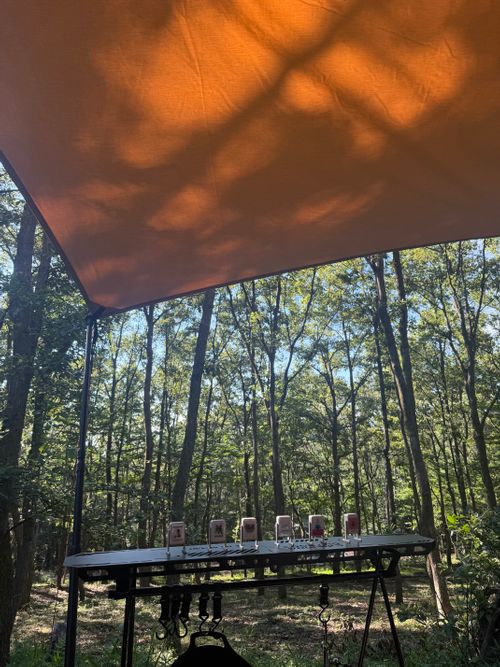 真夏の高原キャンプ CAMP×WOODS ファミリーキャンプ 区画サイト moreAiさんのキャンプブログ CAMPiii(キャンピー) -キャンプ専用SNS キャンプのすべてがここに集まる-