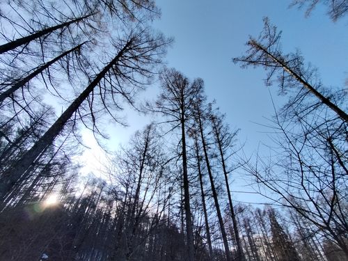 雪中が好きです 飛騨荘川 一色の森キャンプ場 ソロキャンプ グループキャンプ 区画サイト オートサイト たかたかぽんたさんのキャンプブログ CAMPiii（キャンピー） -キャンプ専用SNS キャンプのすべてがここに集まる-