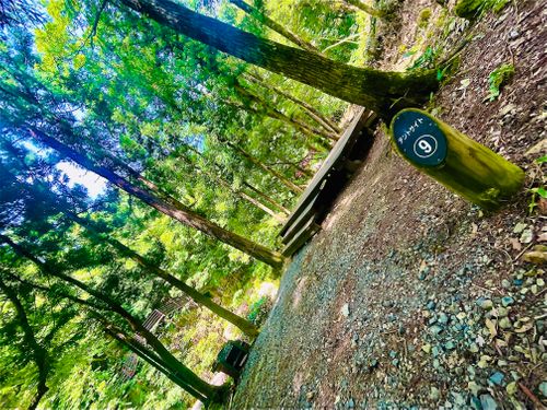 暑い夏に…涼を求めて…渓谷のキャンプ場へおじおばうさキャン△ in 匹見峡レストパーク 〜 CAMP NO.148 匹見峡レストパーク ファミリーキャンプ グループキャンプ 区画サイト おじキャン△さんのキャンプブログ CAMPiii（キャンピー） -キャンプ専用SNS キャンプのすべてがここに集まる-